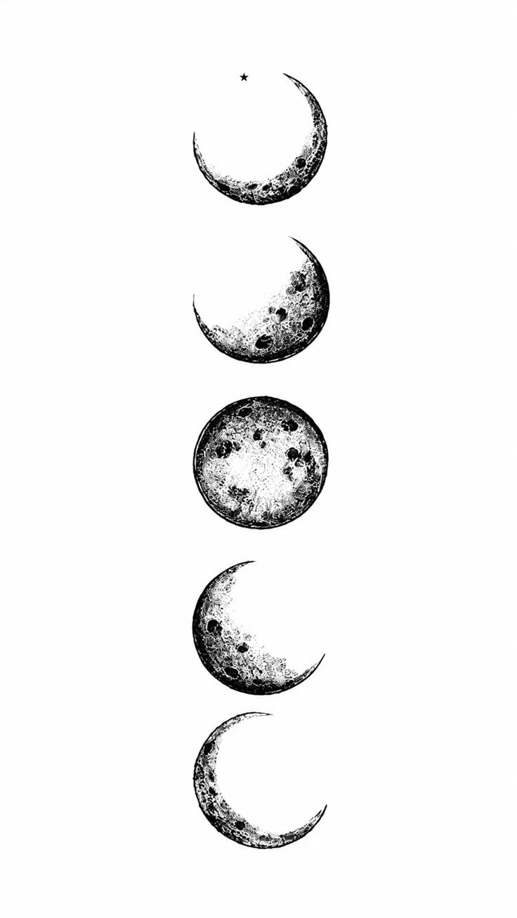 Fases da Lua