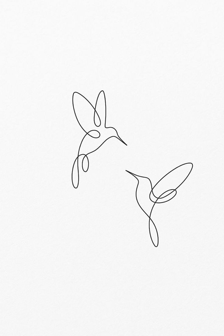 Beija-flores em Fine Line