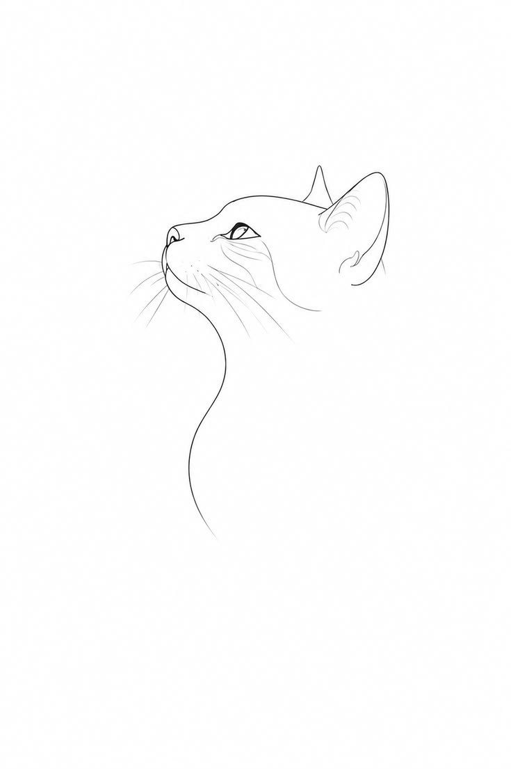 Gato em Fine Line