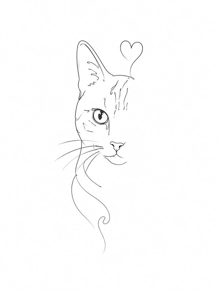 Gato Fine Line