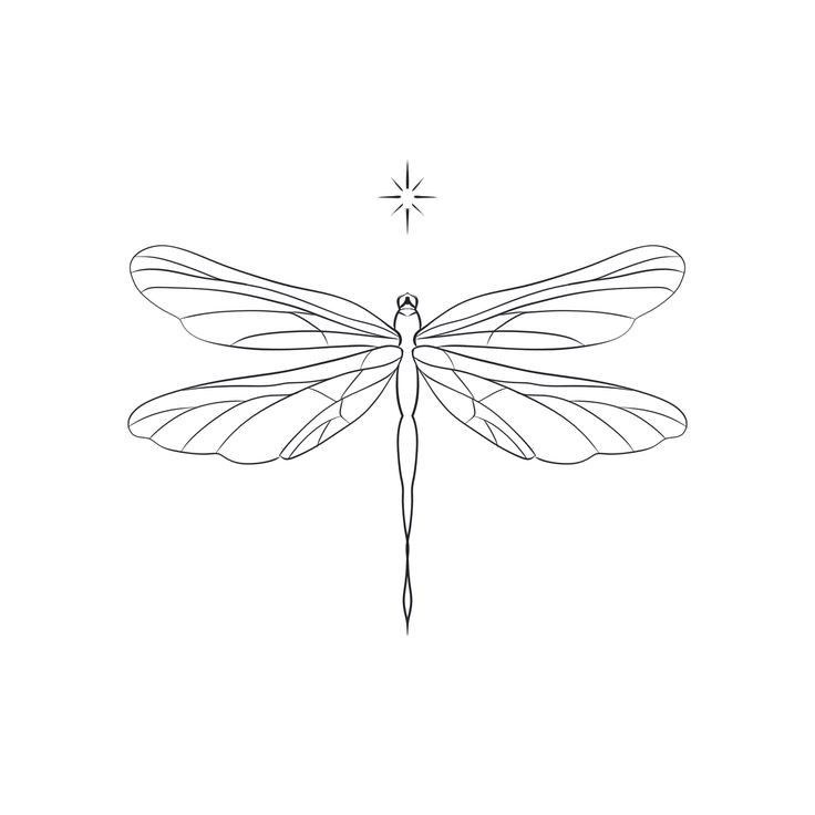 Libélula com Estrela